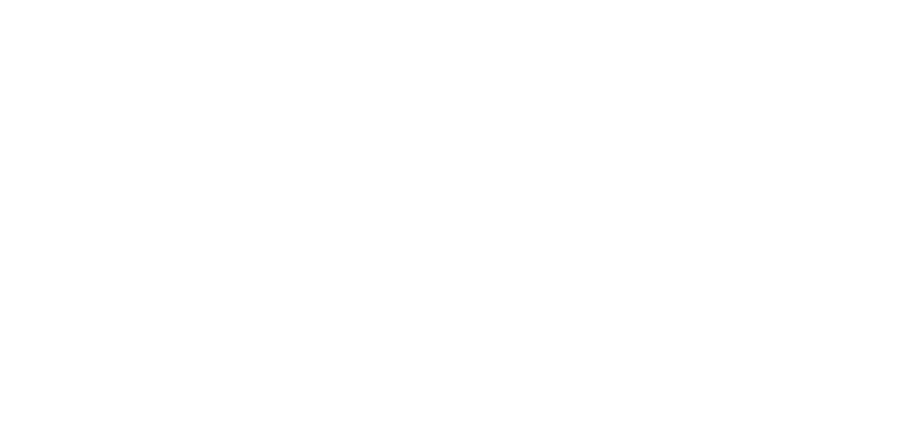 ZNIT